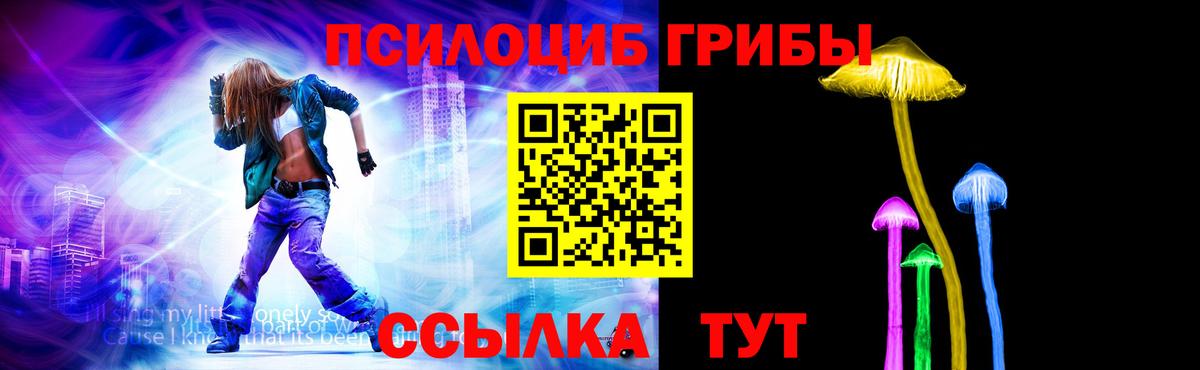 Норильск  Псилоцибиновые грибы мухоморы  Вход с VPN 